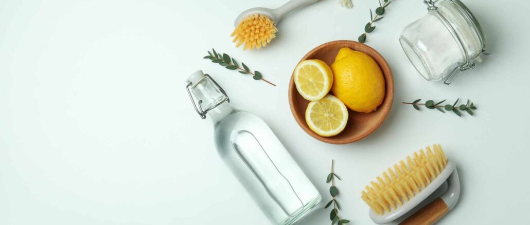 Tips för ett giftfritt hem – veganskt, rent och hälsosamt