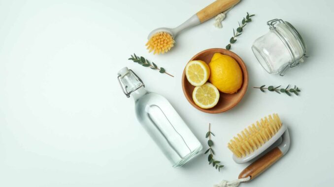 Tips för ett giftfritt hem – veganskt, rent och hälsosamt